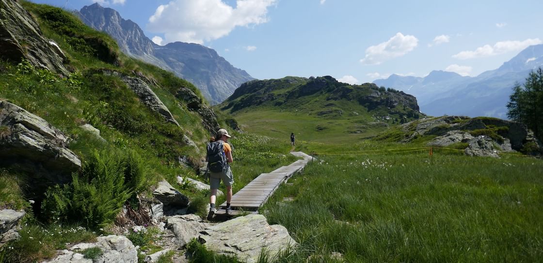 ch-grwoe-06 - gallery 3