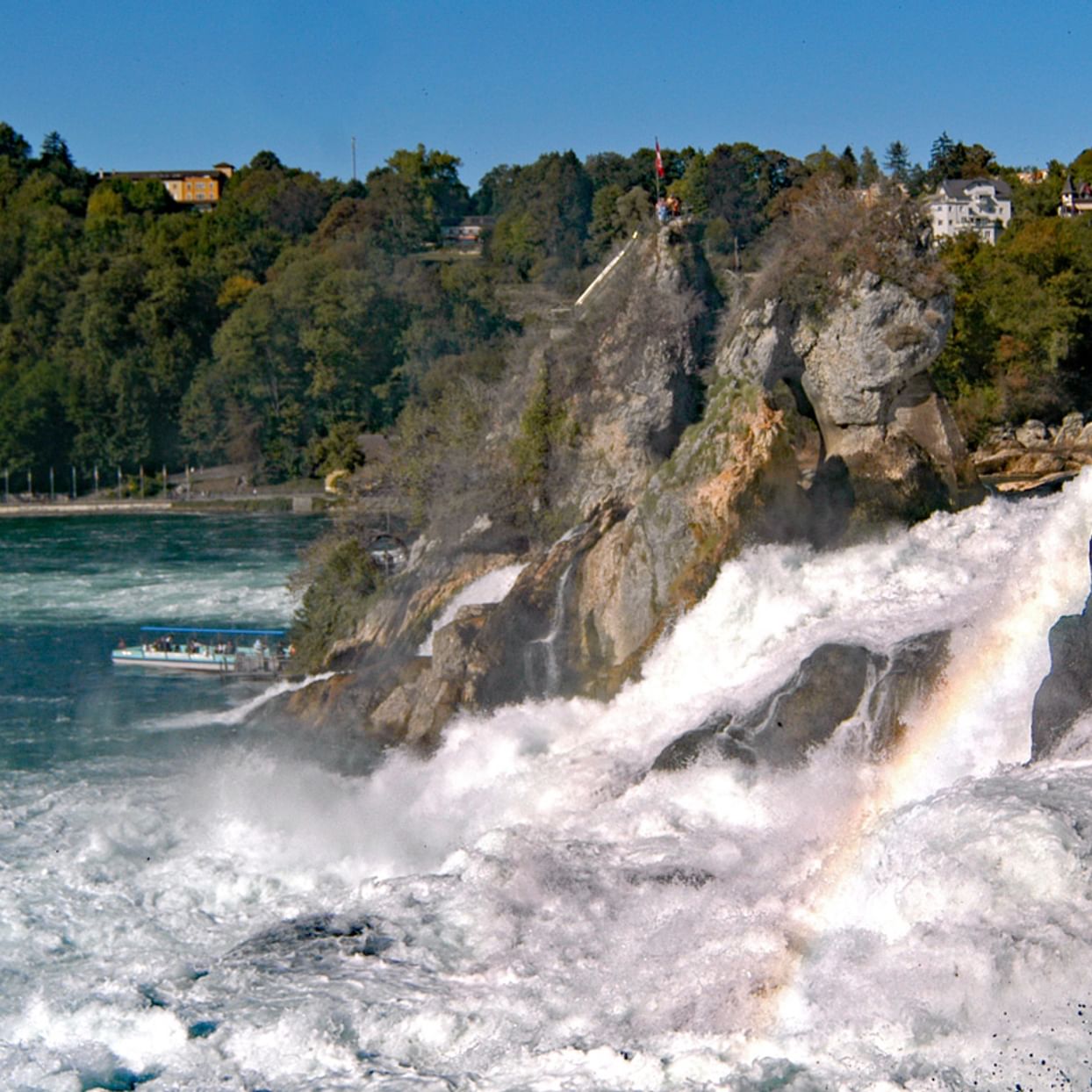 Rheinfall in Schaffhausen mit kraftvollem weißen Wasser, das über Felsklippen stürzt. Bewaldete Hügel und Gebäude im Hintergrund.