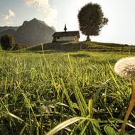 Gruyere Pays d'Enhaut Nature Park in der Schweiz.