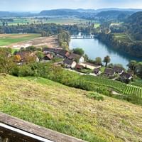 Ausblick auf den Rhein bei Rüdlingen auf der Tour Via Rhenana von Eurotrek.