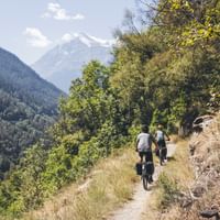Cyclists ride one behind the other on a narrow mountain road in Valais. White mountain peaks in the background.