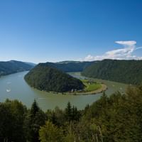 Blick auf Wald und die Donauschlinge