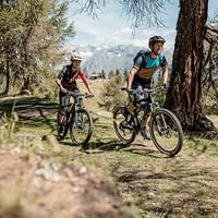 Mountainbiker in Walliser Alpenlandschaft Zwei Mountainbiker mit Helmen fahren durch einen Waldweg im Wallis mit schneebedeckten Alpengipfeln im Hintergrund.