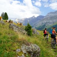 Bikerinnen in den Waadtländer Alpen