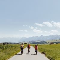 Drei Radfahrer fahren auf einer asphaltierten Straße durch grüne Felder mit Alpenbergen im Hintergrund im Berner Oberland.