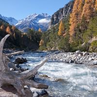 Ein wilder Fluss zieht sich durch die unberührte Natur im Schweizerischen Nationalpark.