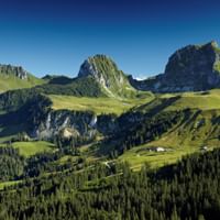 Paysage montagneux du Parc Gantrisch Collines verdoyantes et forêts menant à trois sommets montagneux dans le Parc Gantrisch sous un ciel bleu clair.