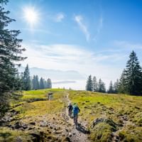 La Suisse centrale offre aux vététistes le terrain idéal pour des expériences exceptionnelles et des aventures uniques.