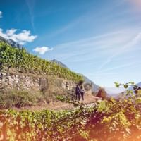Deux randonneurs marchant sur un sentier à travers des vignobles en terrasses dans les Alpes suisses avec des murs de pierre et vue montagne.