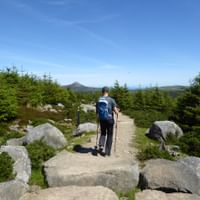 Wanderer mit blauem Rucksack und Wanderstöcken auf Steinweg umgeben von Nadelbäumen und Granitfelsen auf dem Wicklow Way.