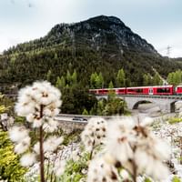 The Rhaetian Railway makes an appearance from time to time.