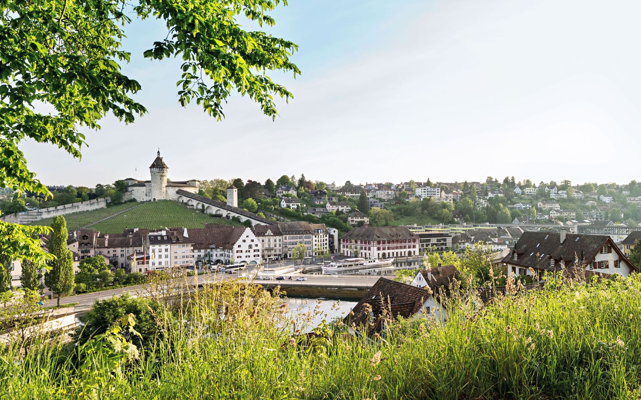 Panoramablick auf Schaffhausen am Rhein mit historischen Gebäuden, Festungsturm auf dem Hügel, Rhein und grüner Vegetation im Vordergrund.