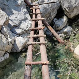 Eine Brücke aus zwei Ästen führt von Stein zu Stein über einen Bach