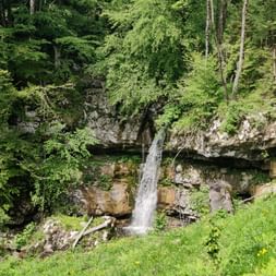 Ein Wasserfall kommt aus einem Felsen. Umgeben von Wald.