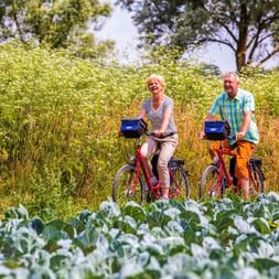 Velofahrer bei Offenau Velofahrer bei Offenau