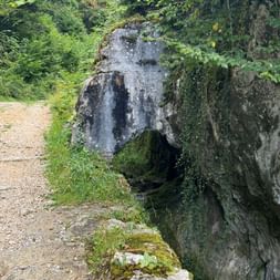 Eine typische Juralandschaft zeigt sich auf dem Weg rund um Saint-Ursanne.