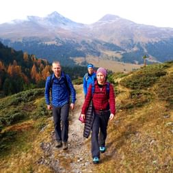 Drei Wanderer unterwegs in den Bergen