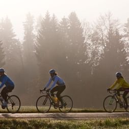 Trois cyclistes de course se suivent sur une route.