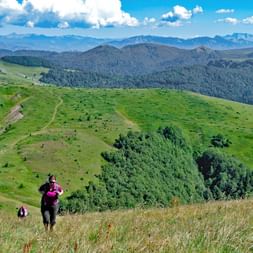 Wandern durch die grünen Hochebenen der Bjelasica Berge