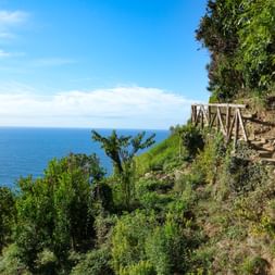 Wanderweg in Cinque Terre