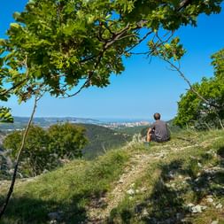 Radfahrer sitzt auf grasigem Hang im Val Rosandra mit Blick auf Triest und die Adriaküste unter blauem Himmel, umrahmt von Bäumen.