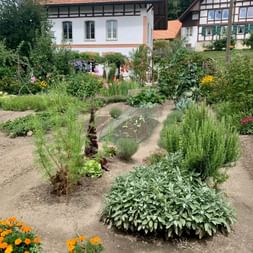 Ein üppiger Bauerngarten mit grünen Kräutersträuchern, bunten Blumen und Gemüse, umgeben von einem Fachwerkhaus.
