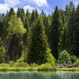 Radfahrer machen Pause in einem Wald am Seeufer im Jura.