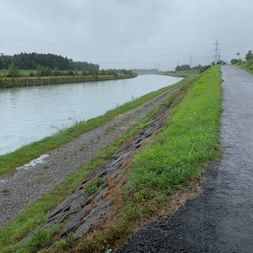 Sicht auf einen Fahrradweg bei Regen direkt nebem dem Rhein