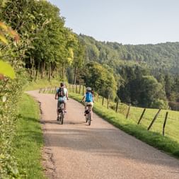 Zwei Velofahrer fahren bei Sceut im Kanton Jura auf der Route Verte.