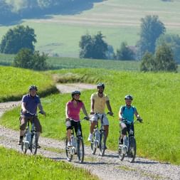 Panoramic picture with family on bikes in the landscape on gravel path