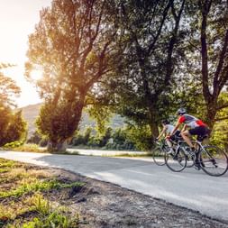 Zwei Rennradfahrer fahren in Sierre im Kanton Wallis einer Strasse entlang.