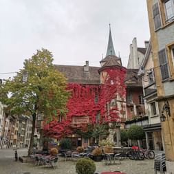 Ein Haus in der Altstadt in Biel, welches einer Kirche gleicht ist in rote Blumen und Blüten gepackt.