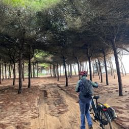 Radfahrerin mit Rucksack schiebt Fahrrad auf sandigem Weg durch Pinienwald in der Algarve. Reifenspuren auf dem Boden unter lichtem Baumkronendach.