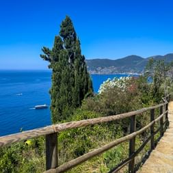Wanderweg mit Holzzaun entlang der Mittelmeerküste in Cinque Terre. Zypresse, blaues Meer, Boote und Berge unter klarem Himmel.