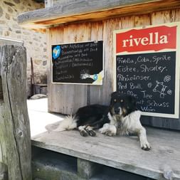 Ein Hund liegt auf einem Holzgestell vor einer Restaurant-Tafel im Nationalpark.