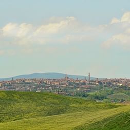 Vor der Stadt von Siena sind grüne Hügel zu sehen.
