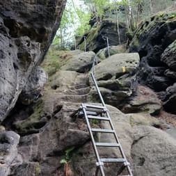 Metallleiter mit Seilgeländer zwischen verwitterten Sandsteinfelsen auf dem Malerweg, umgeben von Moos und Vegetation.