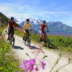Three cyclists in Valais with a mountain panorama.