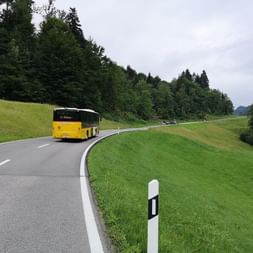 Postauto unterwegs auf einer Hauptstrasse, zwischen Wäldern und Wiesen.