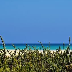 Eurohike-Wanderreise auf Teneriffa