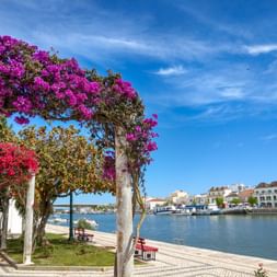 Farbenvielfalt in Tavira