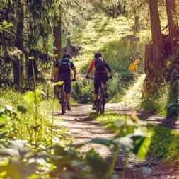 Deux cyclistes roulent en forêt sur la piste cyclable de Grächen, sur la Moosalp.