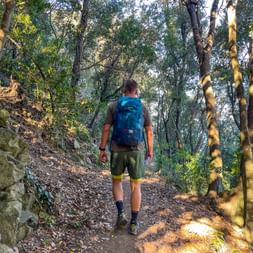 Wandern im Wald