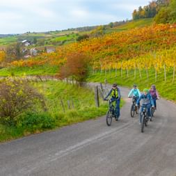 Gruppe von E-Bikern fährt durch herbstliche Weinberge auf der Rebenroute in der Region Basel. Bunte Reben säumen die Straße mit Dorf im Hintergrund.