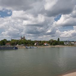 Blick über den Rhein und auf den Speyerer Dom