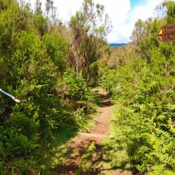 Wanderwegweiser und idyllische Pfade auf Madeira