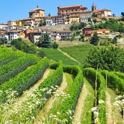 Historic hilltop village in Piedmont with terracotta roofs and church towers, surrounded by green vineyard terraces under blue sky.