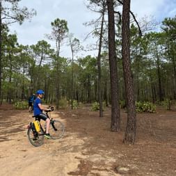 Radfahrer in blauem Trikot mit Helm auf sandigem Weg im Pinienwald bei Tavira. Hohe Pinien mit spärlichem Unterholz unter bewölktem Himmel.