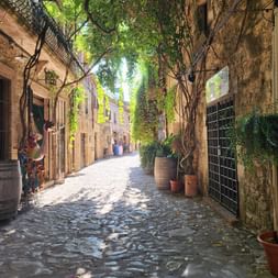 Schmale Kopfsteinpflastergasse in Nordkatalonien mit Steingebäuden, überhängenden Bäumen, Kletterpflanzen und Topfpflanzen an den Wänden.