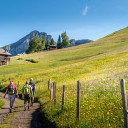 Three hikers walking on a path through a wildflower meadow near Eggberge. Traditional Swiss chalets and mountain peaks visible in background.